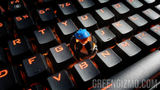 Dodogama keycap (RGB, MX stem)