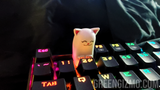 Long cat keycap (RGB, MX stem)